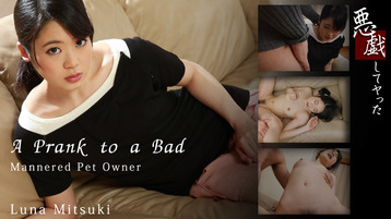 A Prank to a Bad-Mannered Pet Owner – Luna Mitsuki – HEYZO – 2016-06-25 JAV Movie